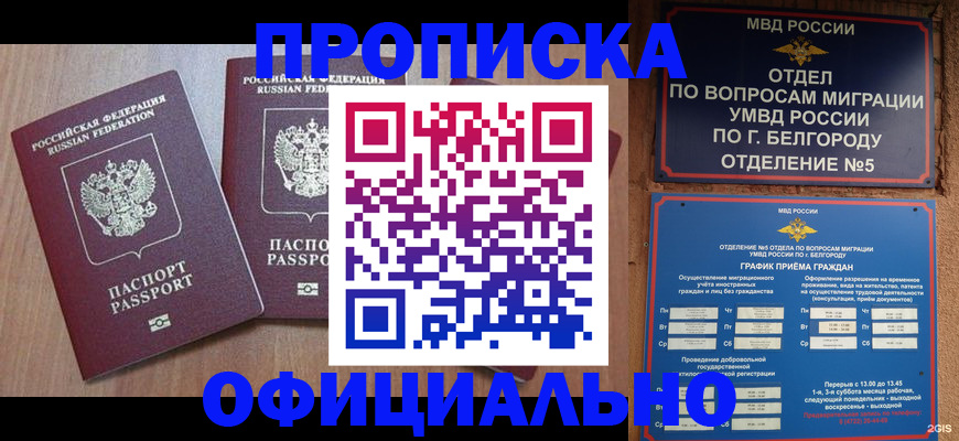 найти адрес прописки в Обояни